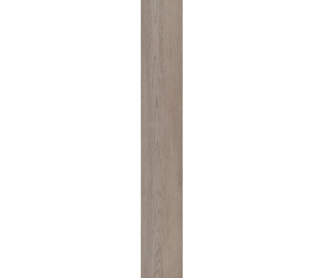 Elliptical Oak