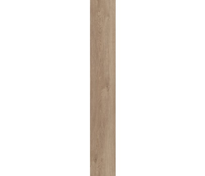 Copano Oak