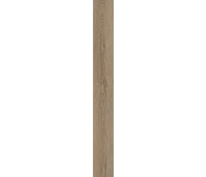 Draco Oak