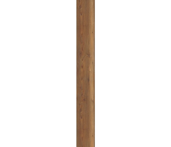 Appalachian Pine