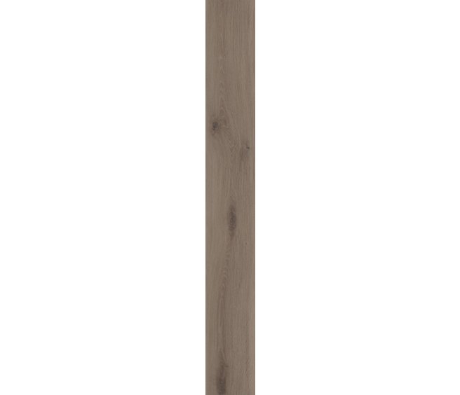 Mist Oak