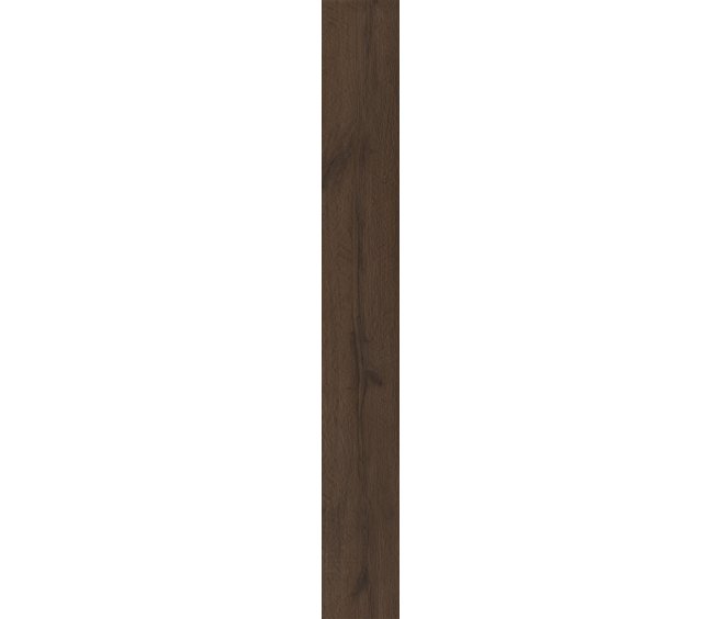 Midnight Oak