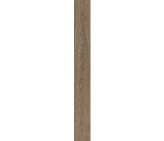 Laurent Oak