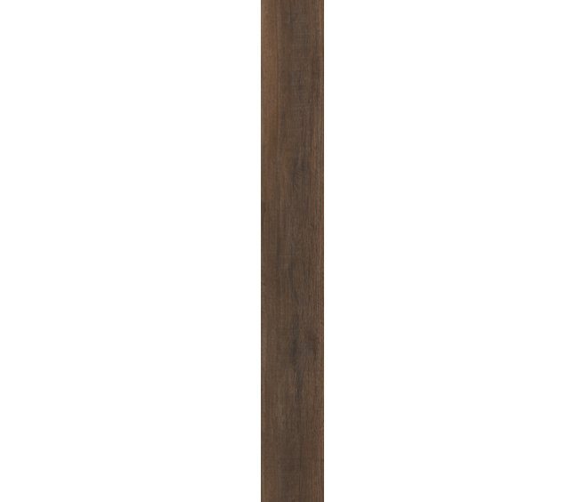 Cheshire Elm