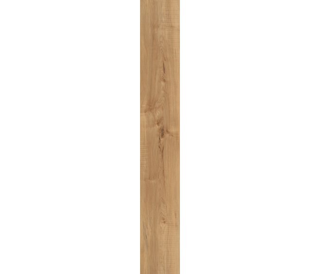 Manila Oak
