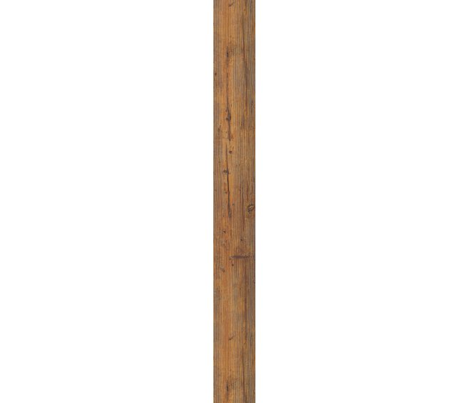 Carolina Pine