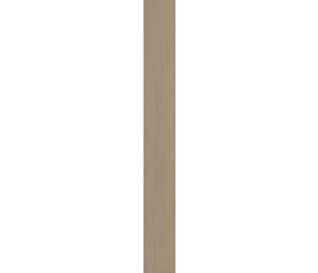 Balanced Oak