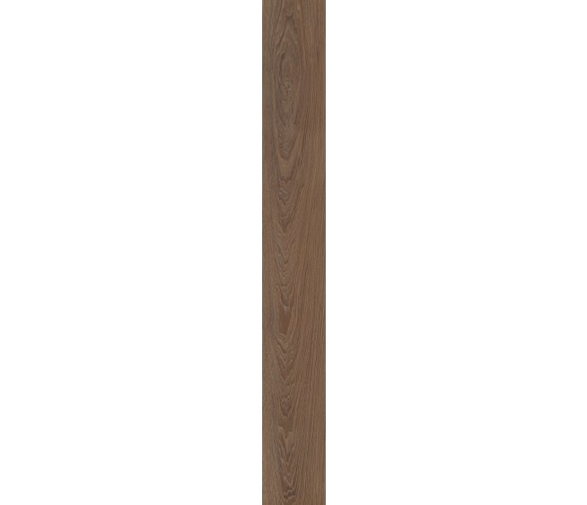 Irvine Chestnut