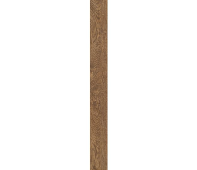 Northwoods Oak