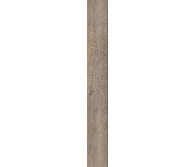 Suva Oak