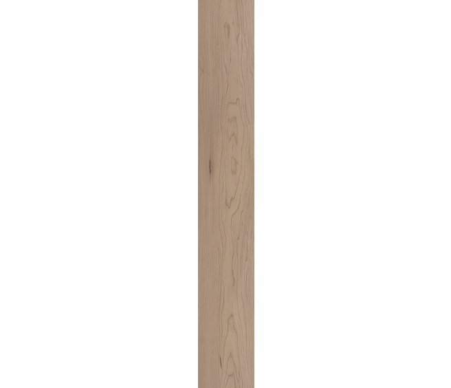 Hatfield Maple