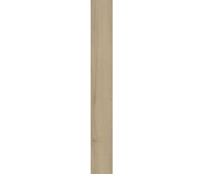 Woodbury Maple