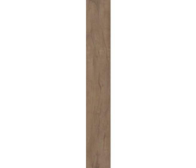 Warwick Maple