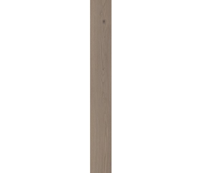 London Elm
