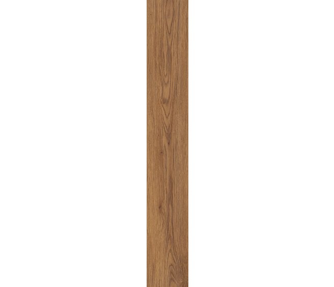 Marsh Oak