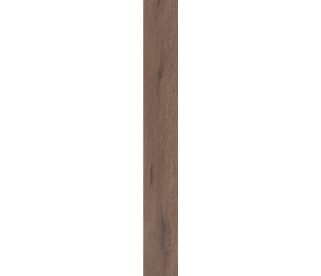 Cerith Oak
