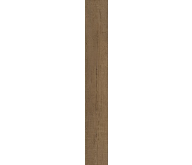 Bay Oak