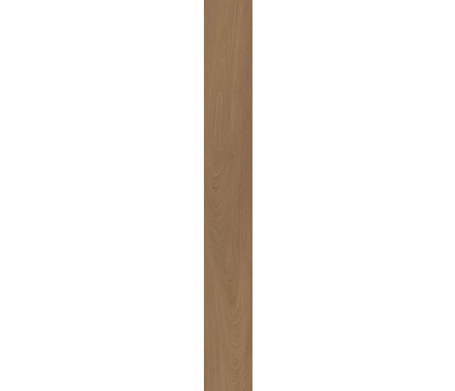 San Marino Elm