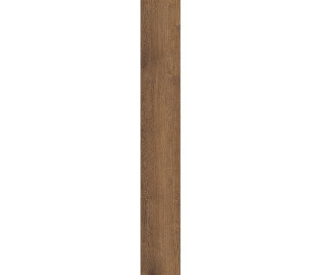 Monterey Oak