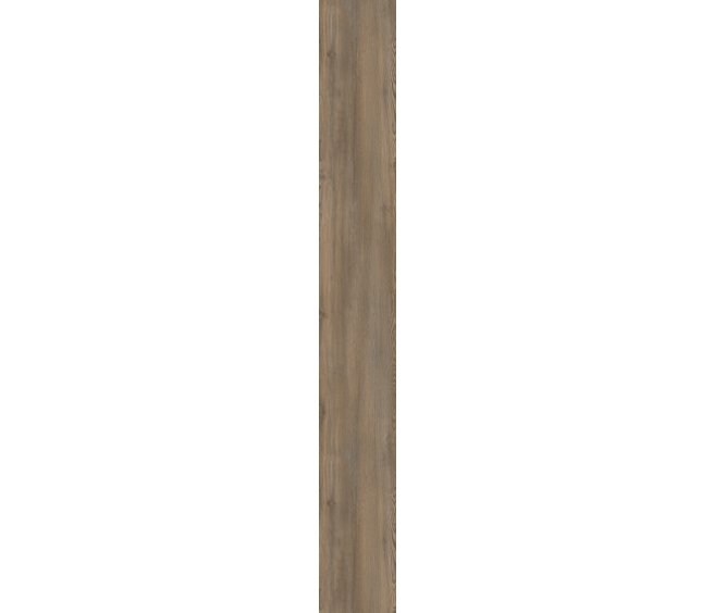 Treasure Pine
