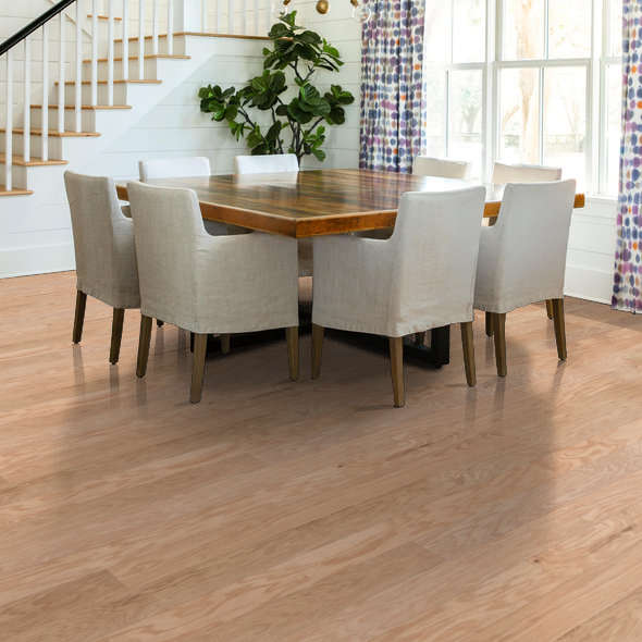 TIMELESS OAK 5"