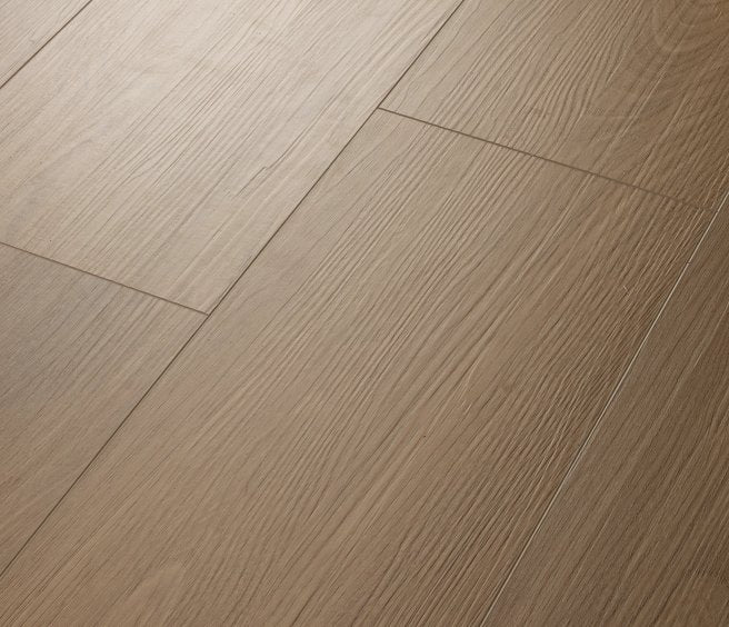 San Marino Elm