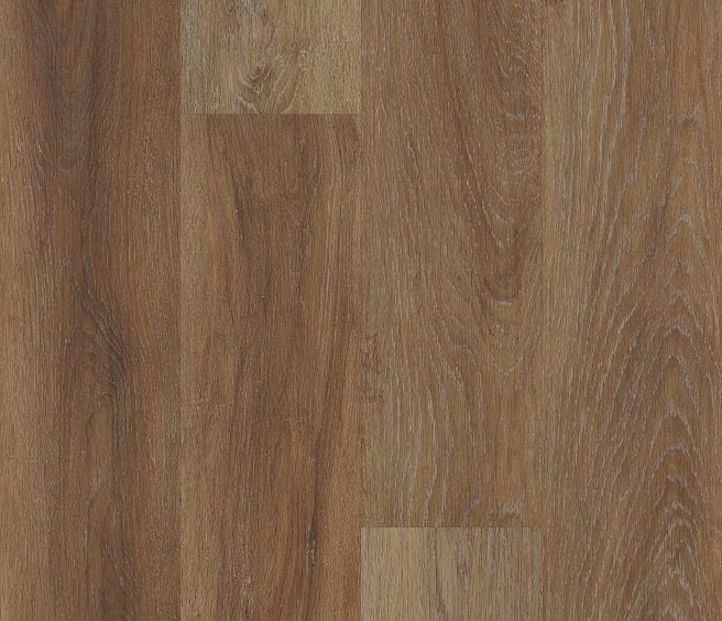 Magellanic Oak