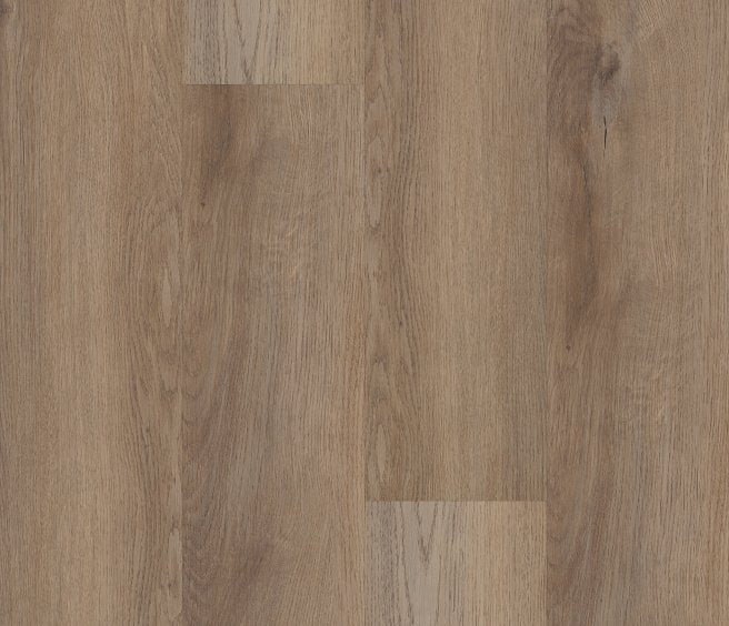 Cartwheel Oak