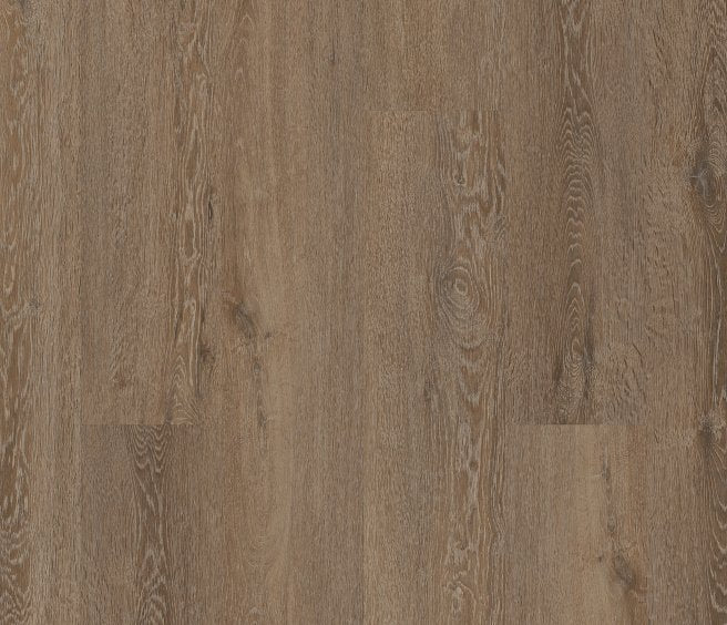 Laurent Oak