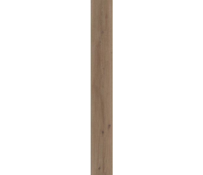 Parchment Oak