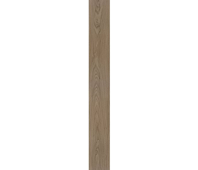 Cardington Walnut