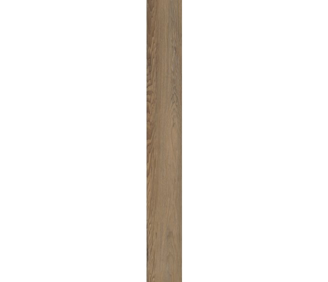 Niland Chestnut