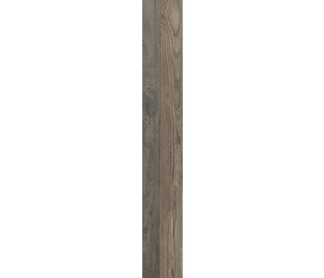 Aden Oak