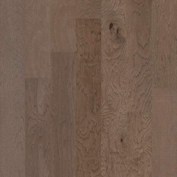 ALPINE HICKORY