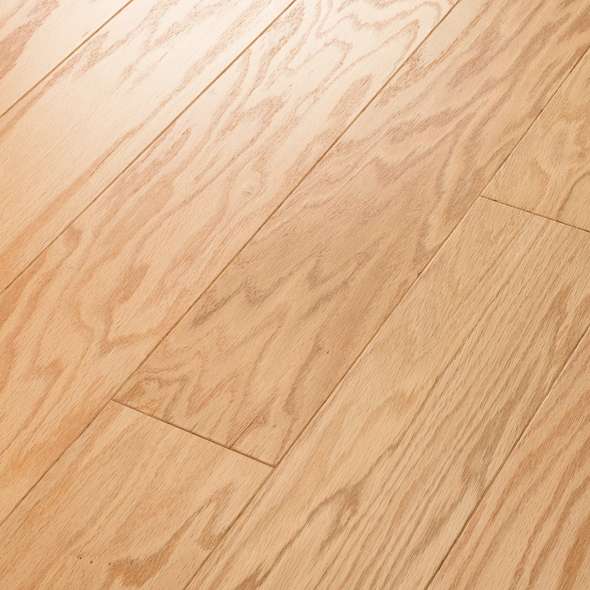 TIMELESS OAK 5"