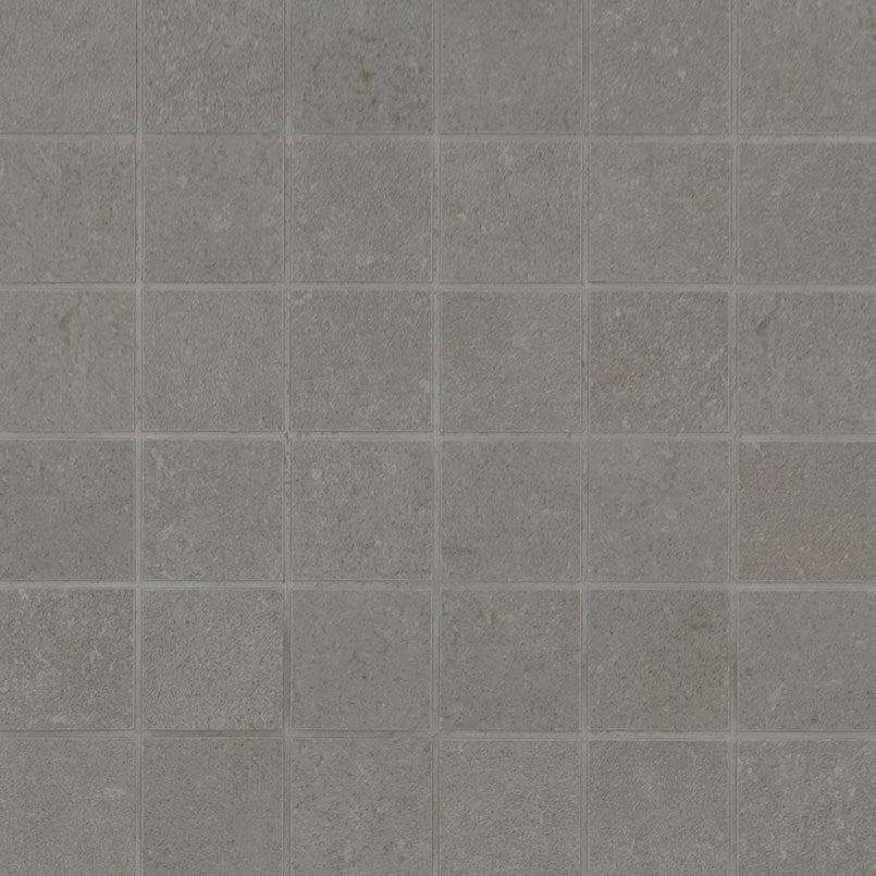 DIMENSIONS GRIS 2X2 MOSAIC MATTE
