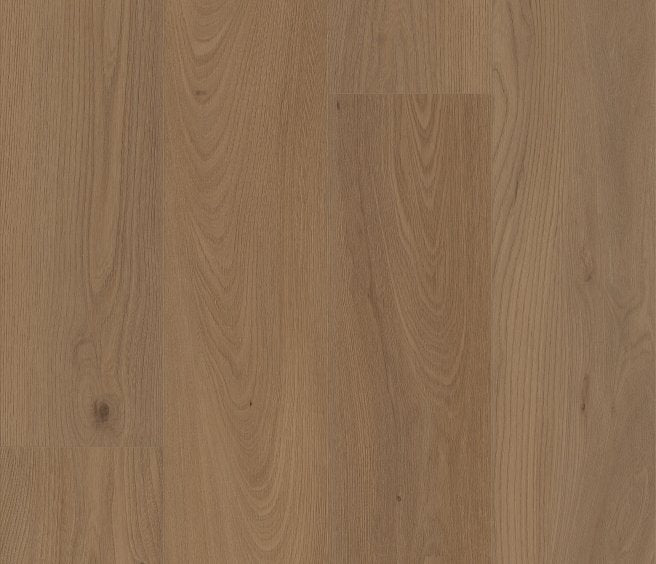 San Marino Elm