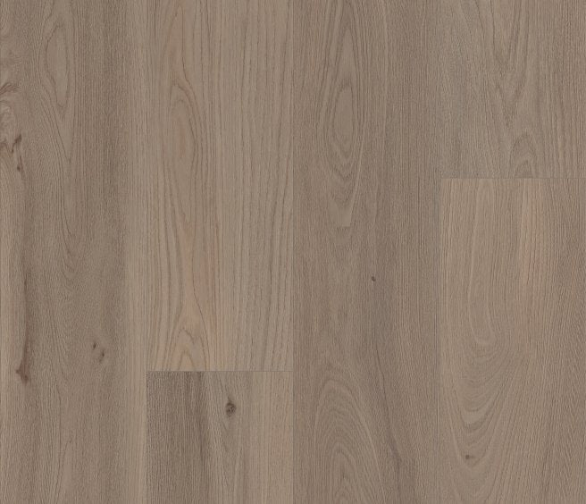London Elm