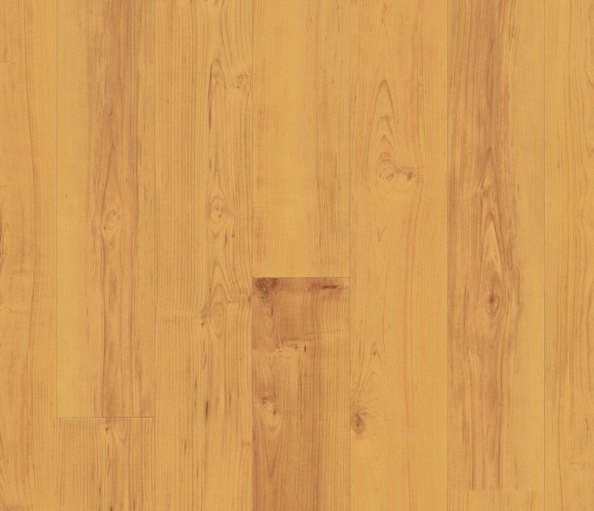 Norwegian Maple