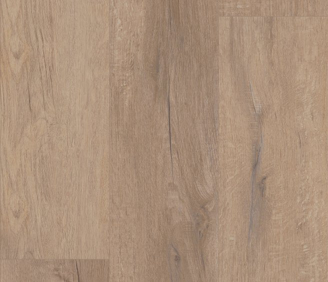 Grande Goldin Oak