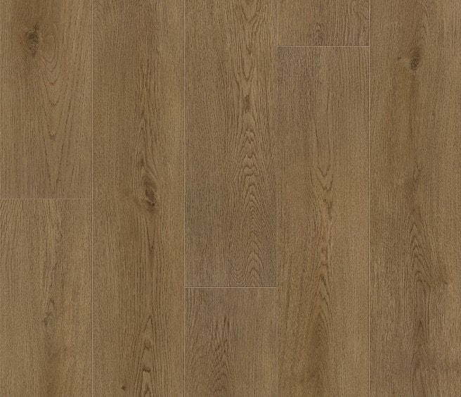 Plainfield Oak
