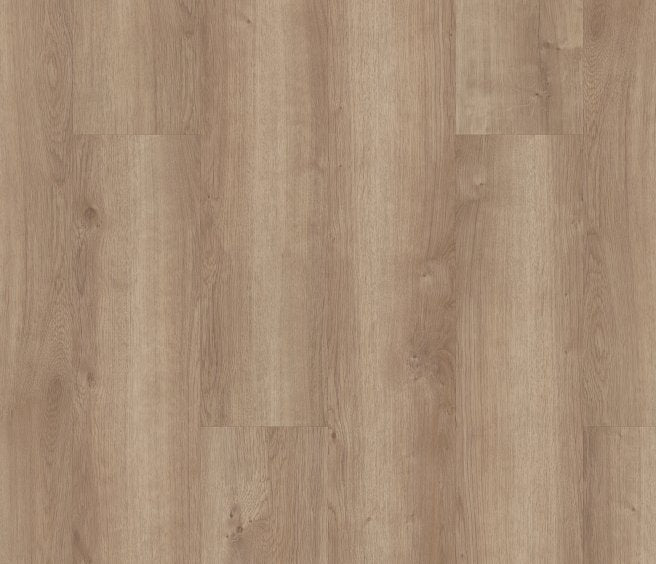 Copano Oak