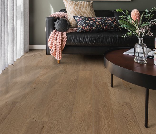 San Marino Elm